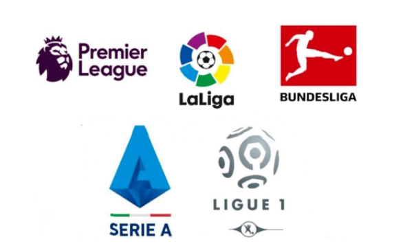 观地感受到 观地感受到