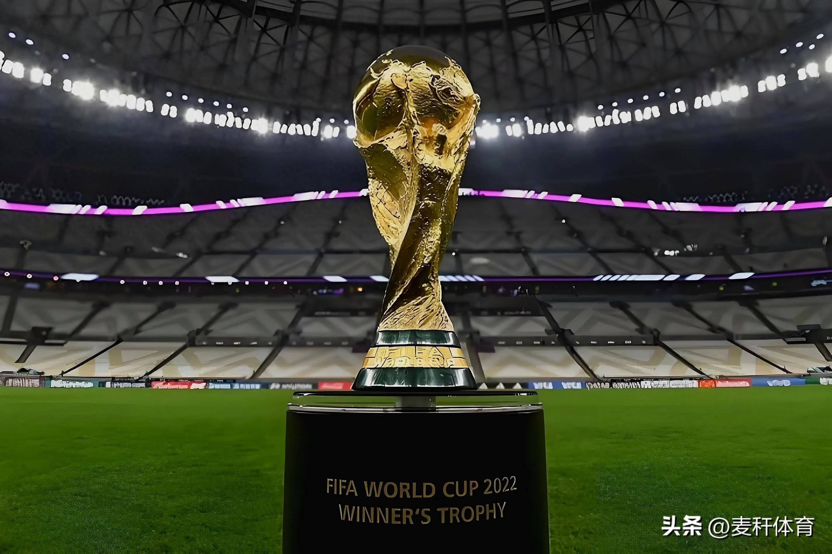 大下注总额 大下注总额